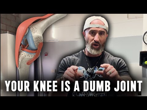 Видео: Секретные упражнения для бедра при разрыве сухожилия надколенника