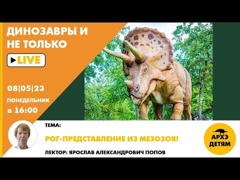 Видео: Занятие "Рог-представление из мезозоя!" кружка "Динозавры и не только" с Ярославом Поповым