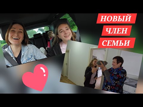 Видео: СЮРПРИЗ ДЛЯ РОДИТЕЛЕЙ 🥳МИЛА ВСЕХ УДИВИЛА/ПРИЕХАЛ БРАТ