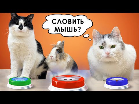 Видео: ПИТОМЦЫ УПРАВЛЯЮТ НАШИМ ДНЁМ С ПОМОЩЬЮ КНОПОК * 100 КНОПОК ЧЕЛЛЕНДЖ * ЗАДАНИЯ от ПОДПИСЧИКОВ