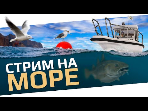 Видео: РУССКАЯ РЫБАЛКА 4 -  Норвежское море / Проверяем фарм на Турион 30000 / Стрим.