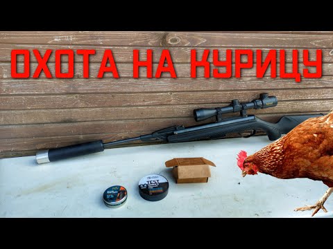 Видео: Экспансивные пули для пневматики 4 5 ОХОТА НА КУРИЦУ #мр512  #пулькидляпневматики