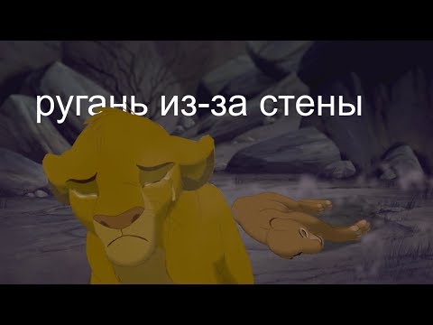 Видео: Симба-ругань из-за стены