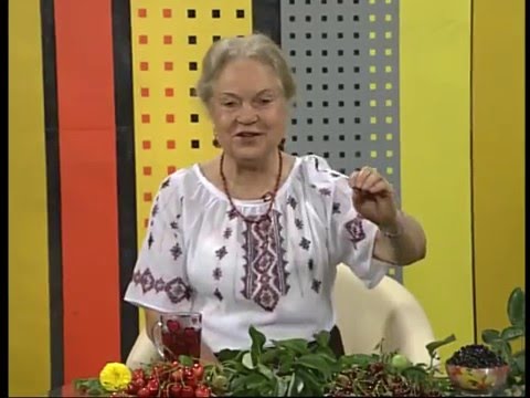 Видео: Наталя Земна - Вишні, черешні - ЛОДТРК (м. Львів)