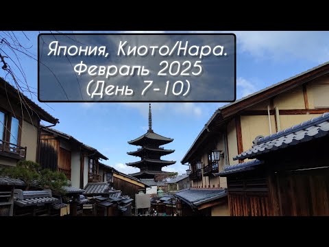 Видео: Япония, Киото/Нара. Февраль 2025 (День 7-10)