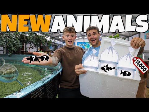 Видео: Я ДАЛА ЕМУ ДЕСЯТЬ НОВЫХ ЖИВОТНЫХ!