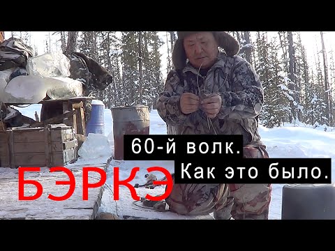 Видео: 60-й волк. Как это было.