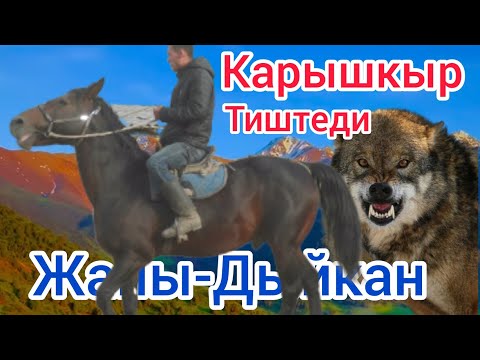 Видео: Карышкыр🐺