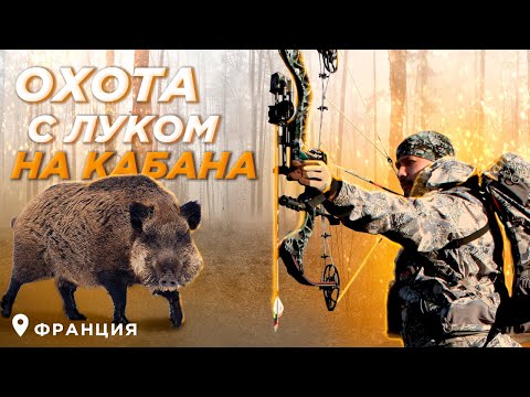 Видео: Охота с луком на кабана во Франции!