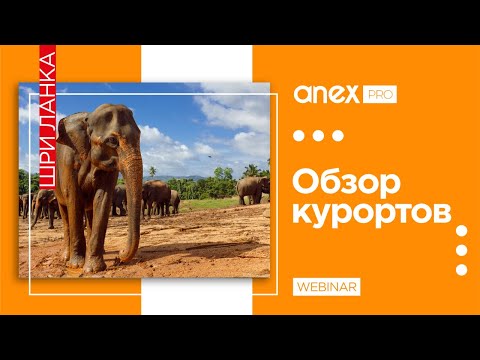 Видео: Шри-Ланка. Все о cтране чая, джунглей, азиатского колорита и шикарных пляжей!