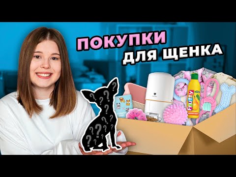 Видео: WILDBERRIES/OZON. РАСПАКОВКА ПОКУПОК для ЩЕНКА 🐶