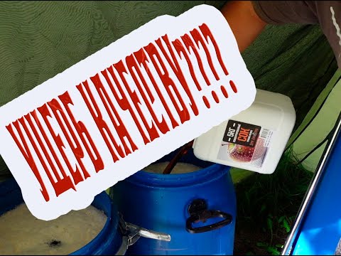 Видео: Больше  КАЛЬВАДОСА???