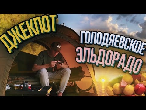 Видео: КАРПФИШИНГ. Ловля карпа и попытка поймать Амура на водоеме «Голодяевский»