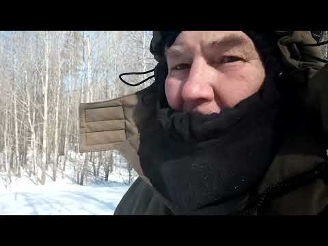 Видео: Проверяем как работают солонцы и кормушки для косуль.