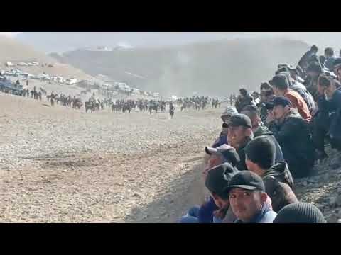Видео: Бузкаши ш панчакент Дехаи СОР 19 11 2023 34 500с исмат палвони  дехаи ёри 