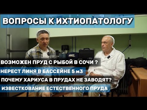 Видео: Разбираем с ихтиопатологом вопросы рыбоводства. #пруд #ихтиопатолог #рыба