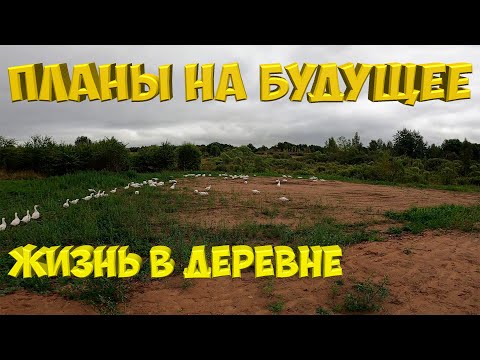 Видео: Планы на будущее . Почему "Один в деревне ?" . [Жизнь в деревне]