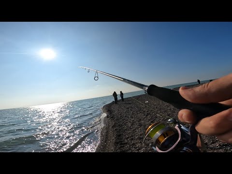 Видео: ВОТ ТАК ПОПАЛИ, РЫБАЛКА НА КАПЧАГАЕ НАСОСНЫЕ, НЕ ПОГОДА БЕЗКЛЕВИЕ