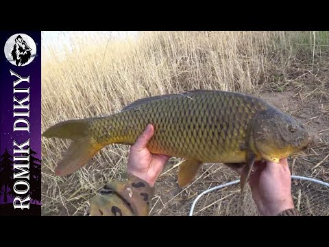 Видео: Весенняя рыбалка как она есть. Апрель 2021г.