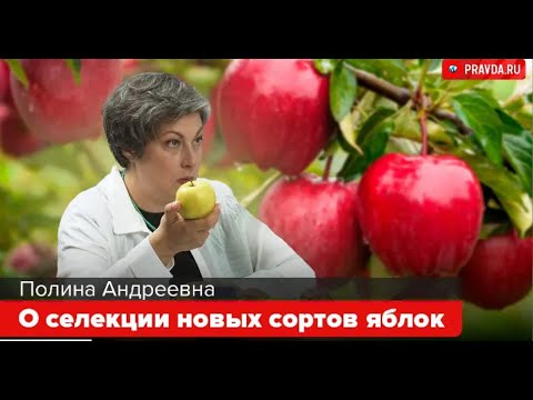 Видео: История самых популярных сортов яблок.