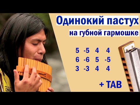Видео: Одинокий пастух│На губной гармошке│TAB