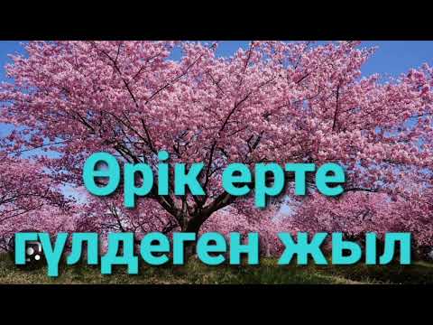 Видео: ӨРІК ЕРТЕ ГҮЛДЕГЕН ЖЫЛ 5-ші бөлім | повесть| Н.Қапалбеков |