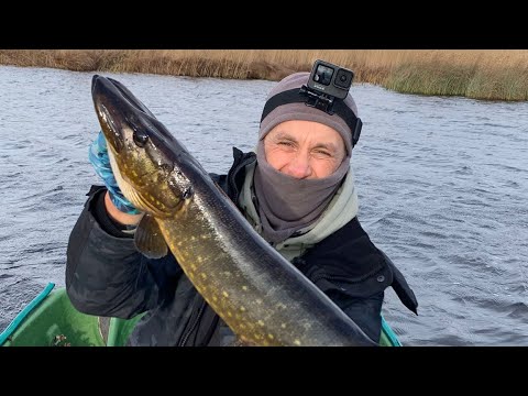 Видео: Щука в ноябре!