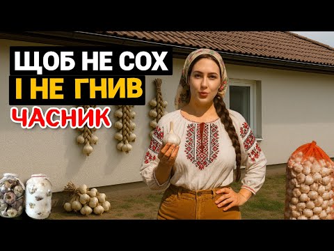 Видео: Як краще зберігати часник на Зиму. ТОП 5 способів зберігання часнику