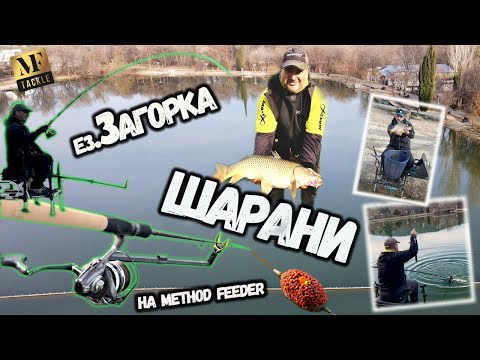 Видео: РИБОЛОВ с МЕТОД фидер - Method FEEDER fishing