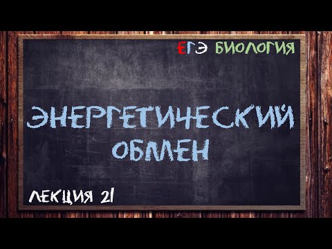 Видео: Л.21 | ЭНЕРГЕТИЧЕСКИЙ ОБМЕН | ОБЩАЯ БИОЛОГИЯ ЕГЭ