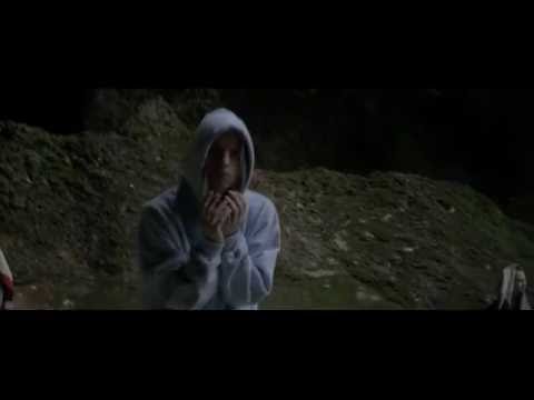 Видео: PHARAOH-Флора