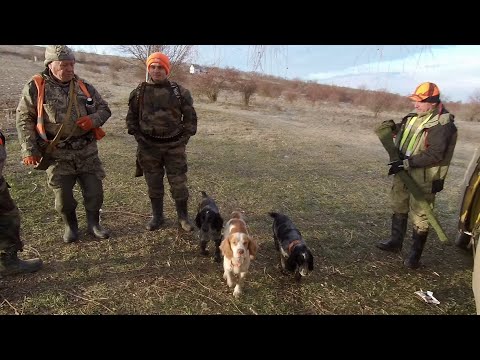 Видео: 28 - крайний выход