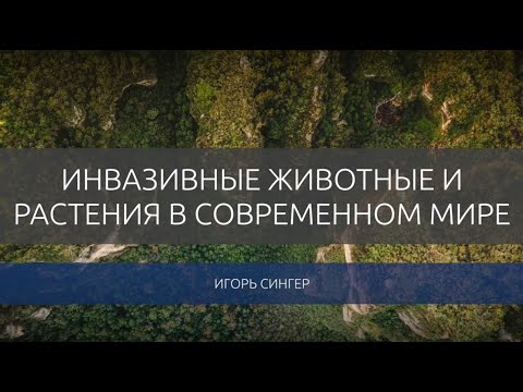 Видео: Игорь Сингер. Инвазивные животные и растения в современном мире.