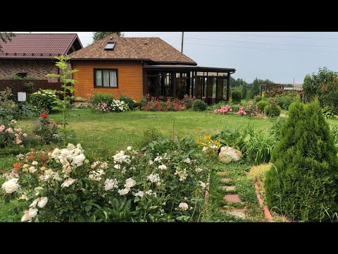 Видео: Цветущий сад!😊 Увидишь не только розы!😉 Обзорная прогулка по саду.