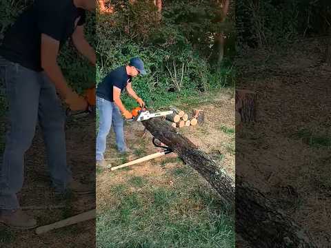 Видео: Устройство, которое значительно облегчает резку дров бензопилой. #cuttingwood #chainsaw #stihl