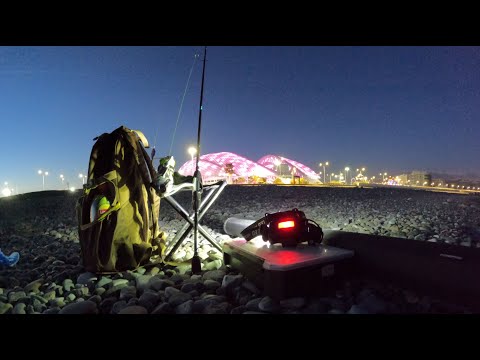 Видео: Рыбалка в Сириусе на ультралайт🌊. Первая ставрида в этом сезоне🎣