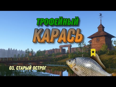 Видео: Трофейный Серебряный Карась (Старый Острог) Как? Что? Где?