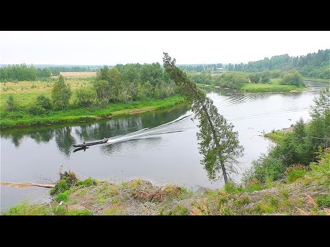 Видео: ДУМАЛИ НЕ БУДЕТ НИЧЕГО / ОКАЗАЛОСЬ РЫБА КЛЮЁТ РАЗНАЯ / ЯЗЬ, ОКУНЬ И ДАЖЕ ХАРИУС / РЫБАЛКА НА БЛЕСНУ.