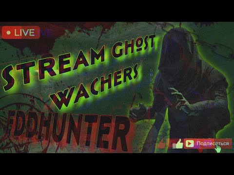 Видео: ДАВНО НЕ ГОНЯЛИ ПРИЗРАКОВ | Ghost Watchers