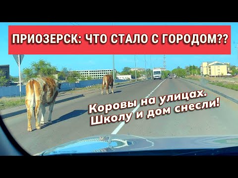 Видео: Как выглядит Приозерск сегодня? Неожиданные кадры!