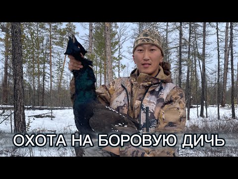Видео: КУhУННУ МАС КЕТЕРУГЭР БУЛТ🦃/ ОСЕННЯЯ ОХОТА НА БОРОВУЮ ДИЧЬ 🦃 