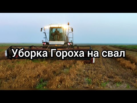 Видео: Уборка Гороха на Свал - Альтернатива Десикации