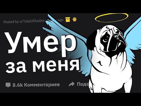 Видео: Люди, ради которых кто-то УМЕР, как это произошло?