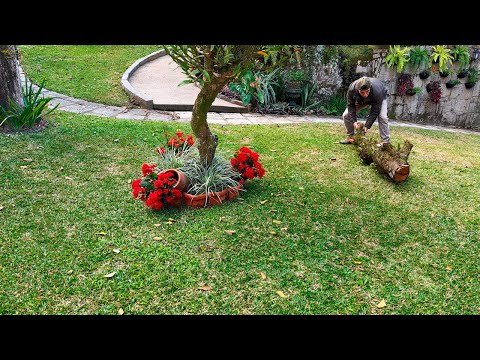 Видео: Я построила ствол бромелиады из старых горшков!🌿