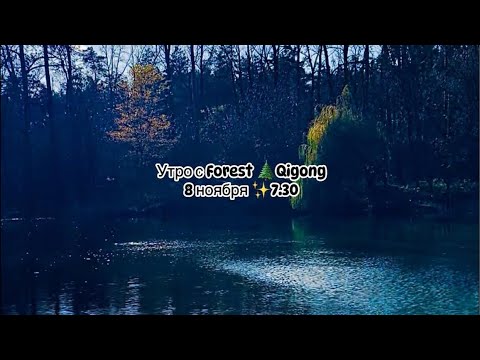 Видео: Forest🌲Qigong в прямом эфире!
