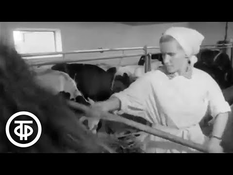 Видео: Лесные Поляны (1967)