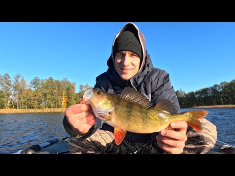 Видео: Рыбалка в приграничной зоне I Fishing in the border area