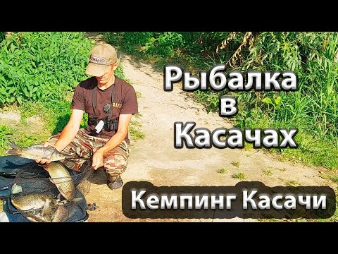 Видео: Ловля карпа фидером. Кемпинг Касачи. Рыбалка в Касачах.