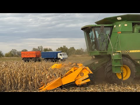 Видео: 😱Рекорд‼️Джон Дір ГАВКАЄ від ВРОЖАЮ💪Жнива КУКУРУДЗИ НА ОГОРОДІ‼️Євросем Аміго👍Сингента Черінтос…👎