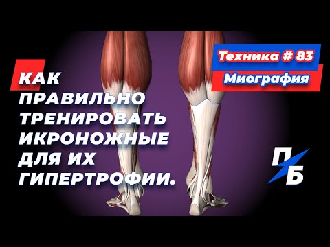 Видео: Как правильно тренировать икроножные для их гипертрофии. Миография